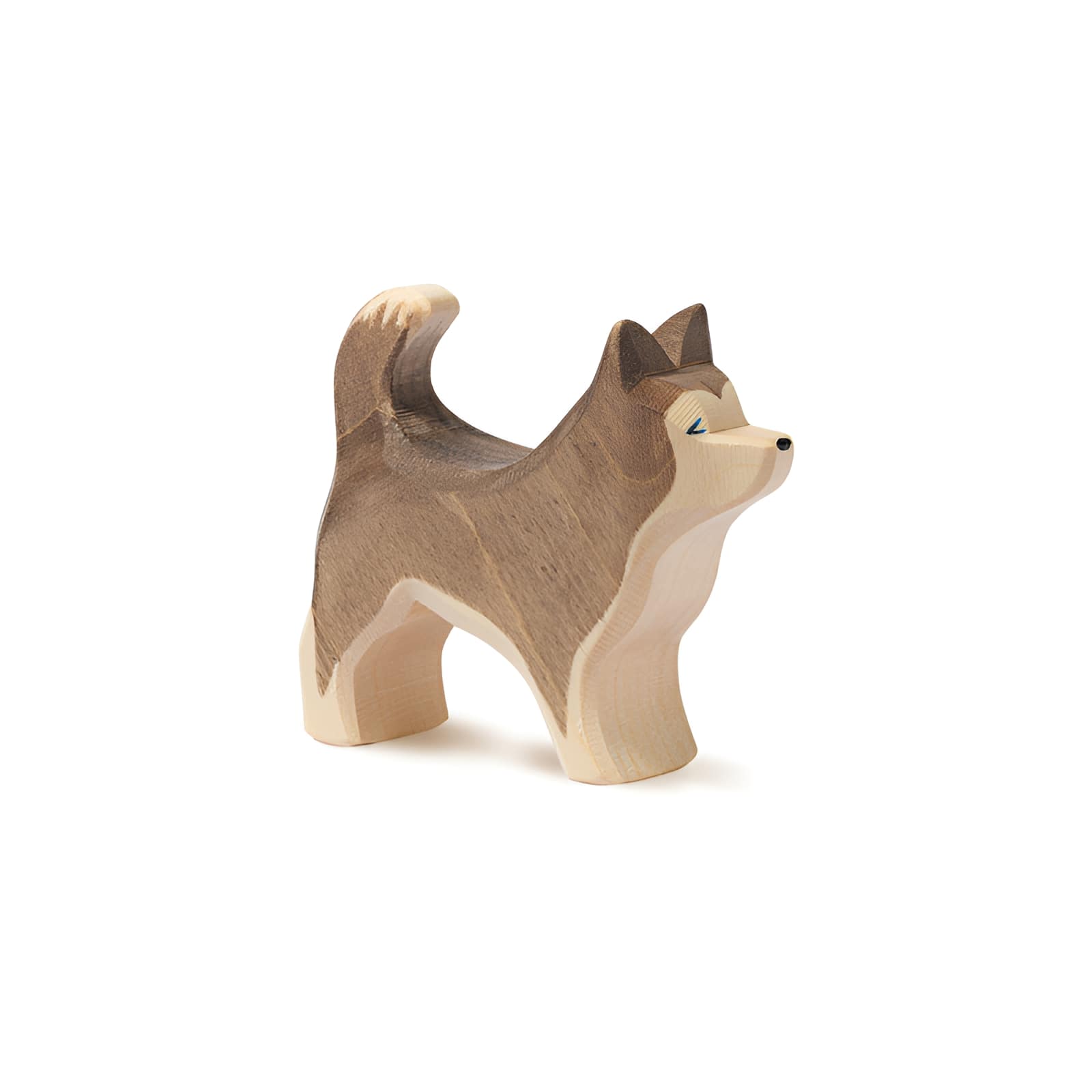 Ostheimer Sled Dog standing 29007