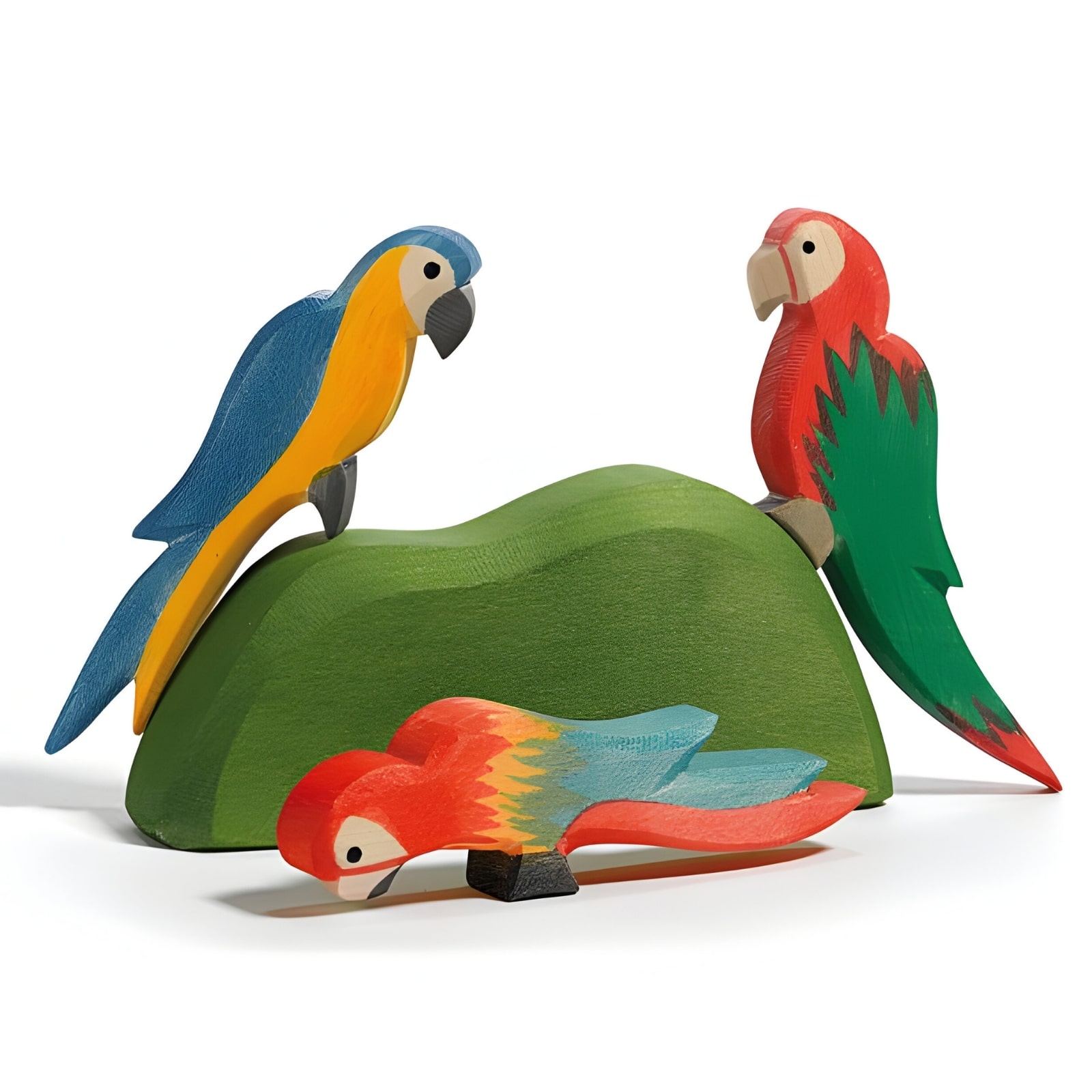 Ostheimer Parrot mulitcolor 21403