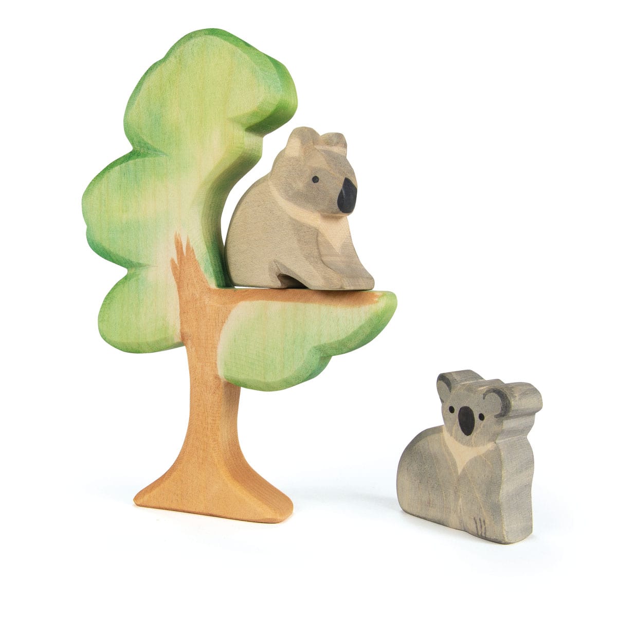 Ostheimer Eucalyptus 20610