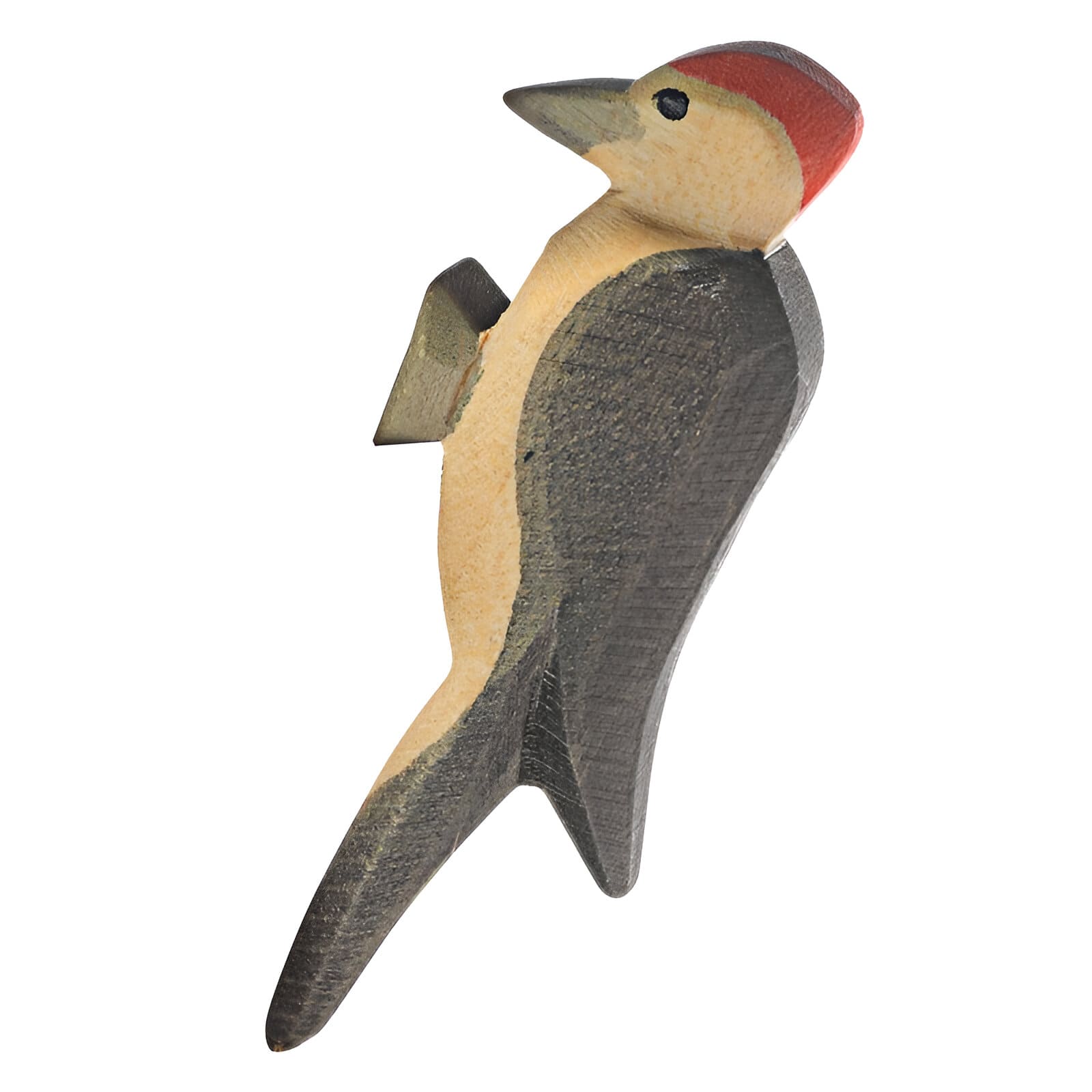 Ostheimer Woodpecker 16810