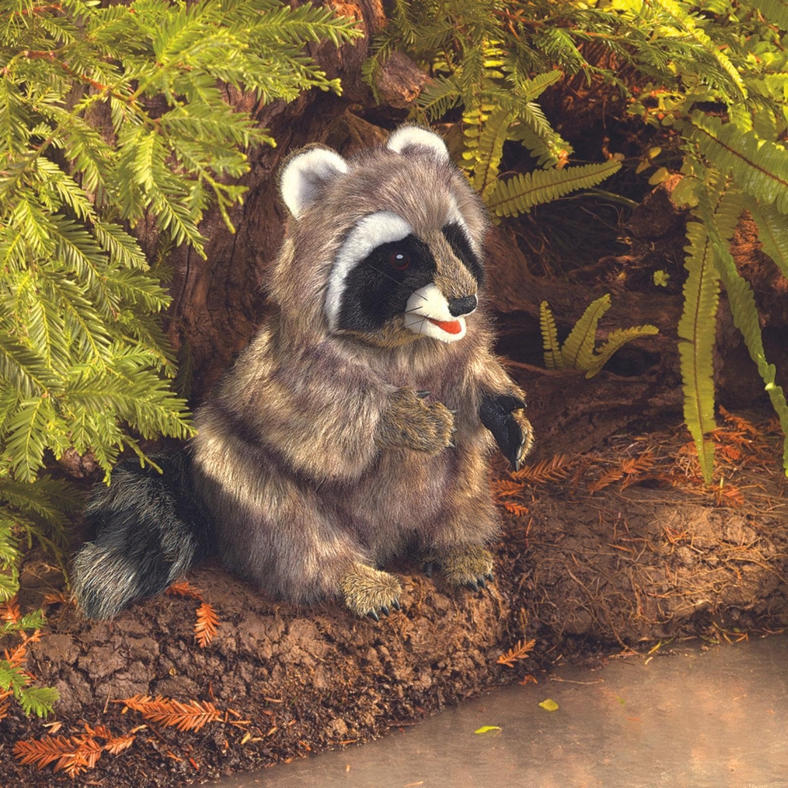 Folkmanis Waschbär