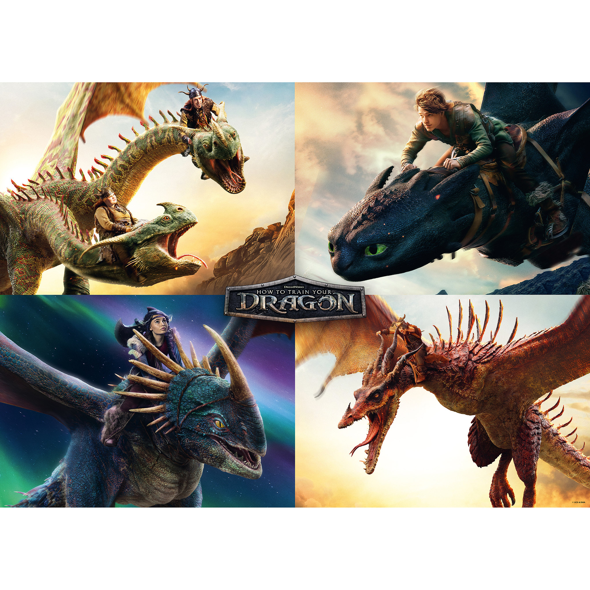 TEAMPUZZLE Drachenzähmen leicht gemacht, 600 Teile