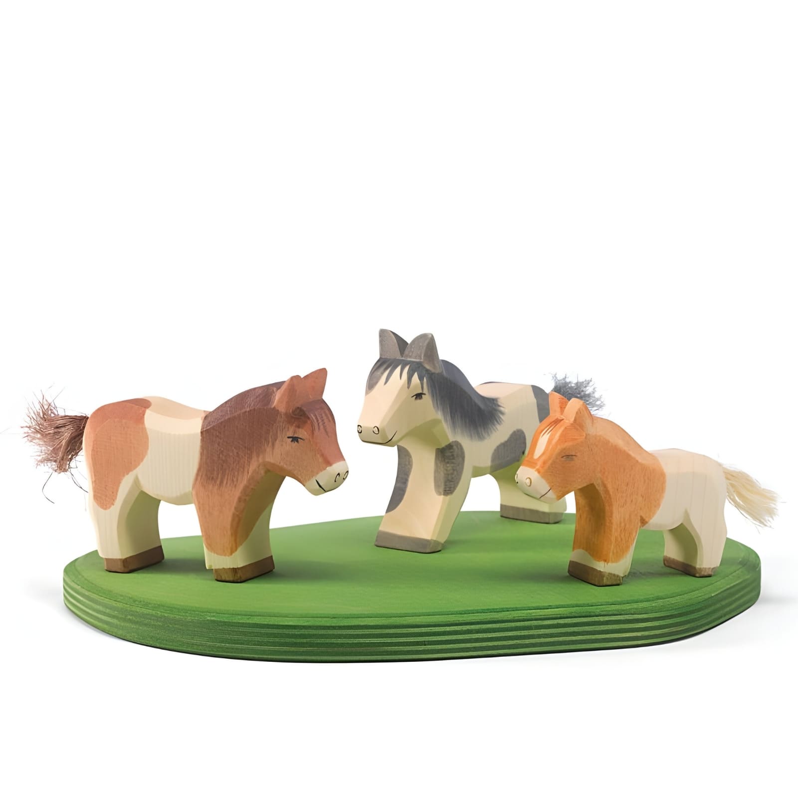 Ostheimer Shetland Pony standing 11303