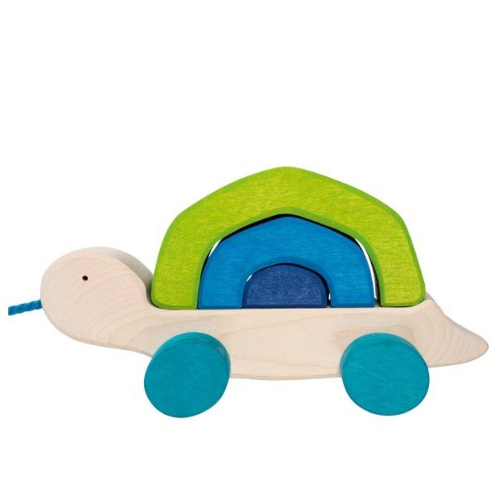 Ziehtier Schildkröte Tortuga