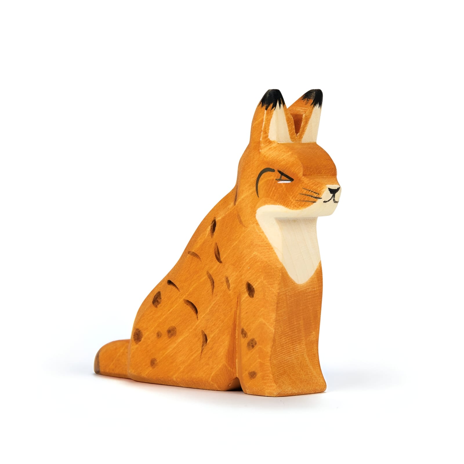 Ostheimer Lynx sitting 15224