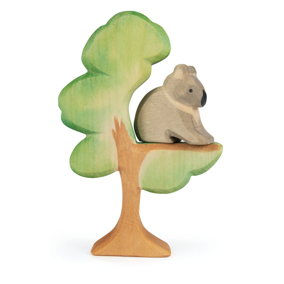 Ostheimer Eucalyptus 20610